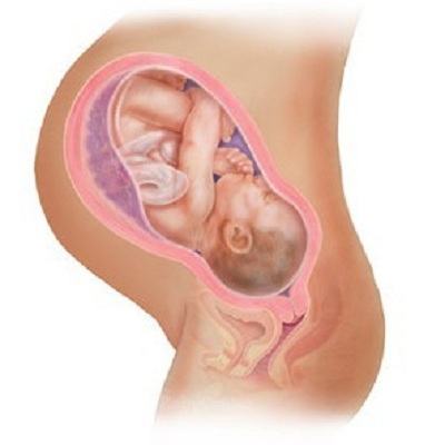 Mẹ bầu cẩn trọng với những biểu hiện suy thai sau đây nhé! 3