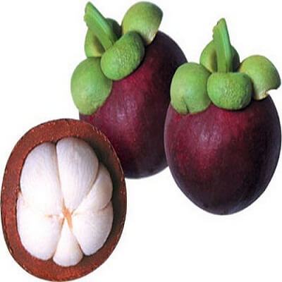 Ăn măng cụt giúp phòng ngừa sỏi thận 4