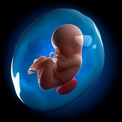 Trẻ "đẻ bọc điều" sẽ luôn may mắn hơn mọi người? 3