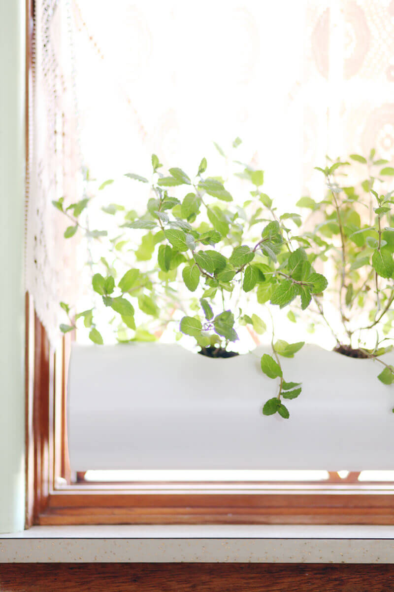 Thiết kế vườn rau trong bếp bằng ống nhựa PVC quen thuộc 48 làm vườn rau bằng ống nhựa8