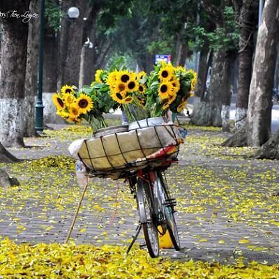 Tháng 10: Bất ngờ đang chờ bạn 4