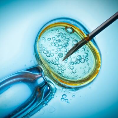 Quá nhiều hóc-môn FSH sẽ làm giảm tỷ lệ thành công của phương pháp IVF 5