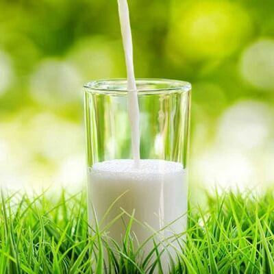 8 loại thực phẩm tốt cho phụ nữ bị sảy thai 3