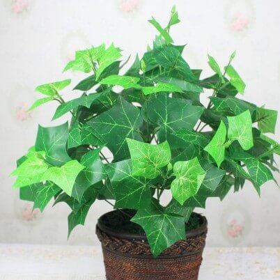 Năm mới nhớ trồng 10 loại cây này để rước tài lộc vào nhà 13
