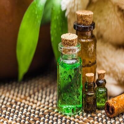 Thần dược không thể thiếu trong ngôi nhà bạn 4