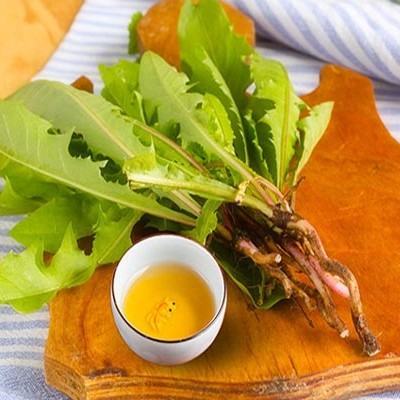 Rễ cây bồ công anh có thể tiêu diệt tế bào ung thư trong 48 giờ 6