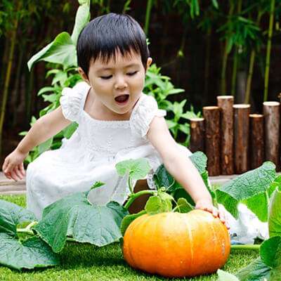 Trẻ chỉ thích vui chơi trong vườn 3