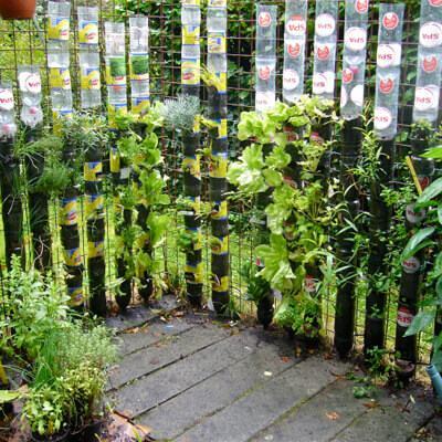 Cách làm “tháp rau” từ chai nhựa để trồng rau sạch tại nhà 28