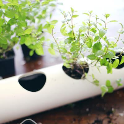 Thiết kế vườn rau trong bếp bằng ống nhựa PVC quen thuộc 3