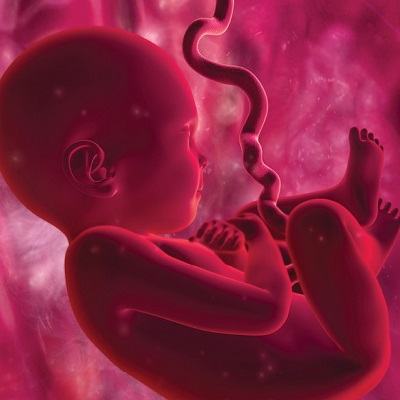 Các con số đáng nhớ về…  ối! 5
