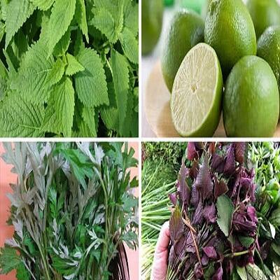 Nồi lá xông giải cảm “đúng chuẩn” tại nhà 5