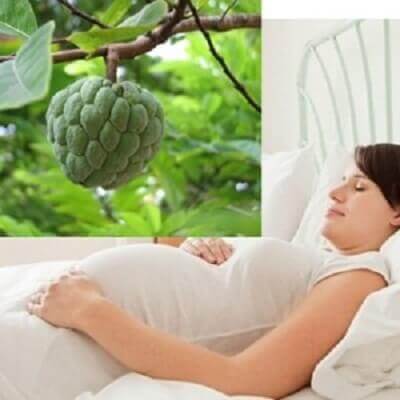 Giúp mẹ giải đáp thắc mắc "bà bầu có nên ăn na không" 4