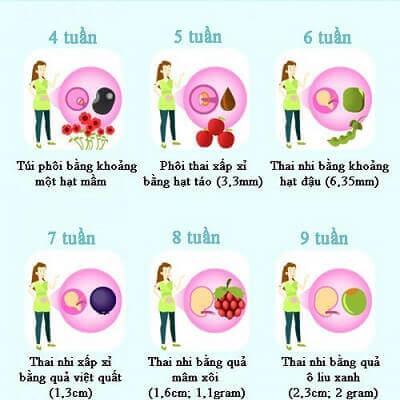 Bảng so sánh thú vị về cân nặng, chiều dài thai nhi theo tuần tuổi 3