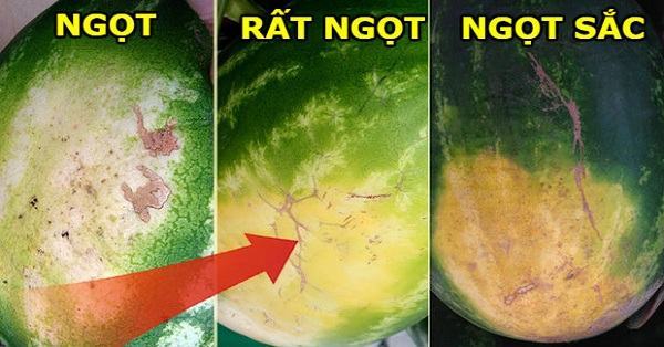 Cách lựa chọn trái cây an toàn, không hóa chất 15 Cách lựa chọn trái cây an toàn, không hóa chất 5