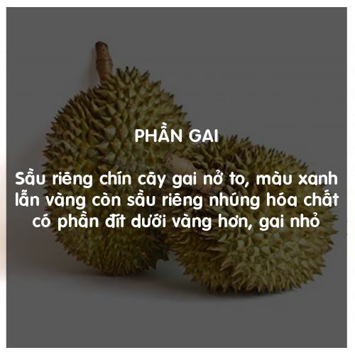 Cách lựa chọn trái cây an toàn, không hóa chất 16 Cách lựa chọn trái cây an toàn, không hóa chất 6