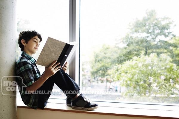 Trẻ học nói song ngữ thông minh hơn trẻ nói một ngôn ngữ như thế nào? 36 Trẻ học nói song ngữ thông minh hơn trẻ nói một ngôn ngữ như thế nào? 8