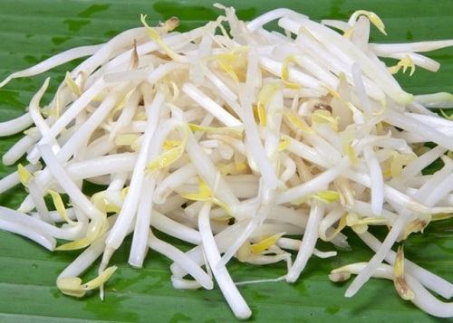 Quý ông ăn gì để tinh trùng khoẻ mạnh? 42 Ăn gì để tinh trùng khoẻ mạnh