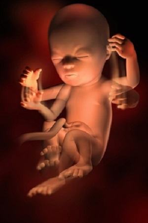 Nhật Ký Mang Thai: 40 Tuần Thai Kỳ Khỏe Mạnh (Phần 17) 33 Nhật Ký Mang Thai: 40 Tuần Thai Kỳ Khỏe Mạnh (Phần 17) 5