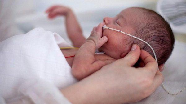 Chăm sóc trẻ sinh non: Chế độ dinh dưỡng cho trẻ sinh non 34 Chăm sóc trẻ sinh non: Chế độ dinh dưỡng cho trẻ sinh non 6