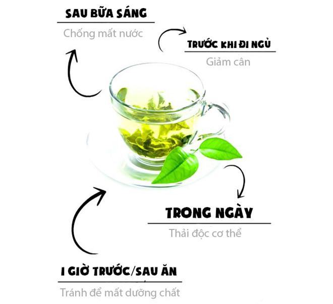 Uống trà xanh giảm cân đúng cách 15 Uống trà xanh giảm cân