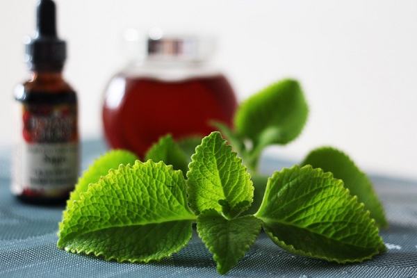 5 bài thuốc dân gian trị ho về đêm cho trẻ hiệu quả 6