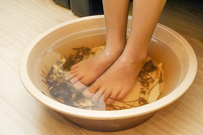 Bà bầu có nên ăn lá tía tô không? 33 Bà bầu có nên ăn lá tía tô