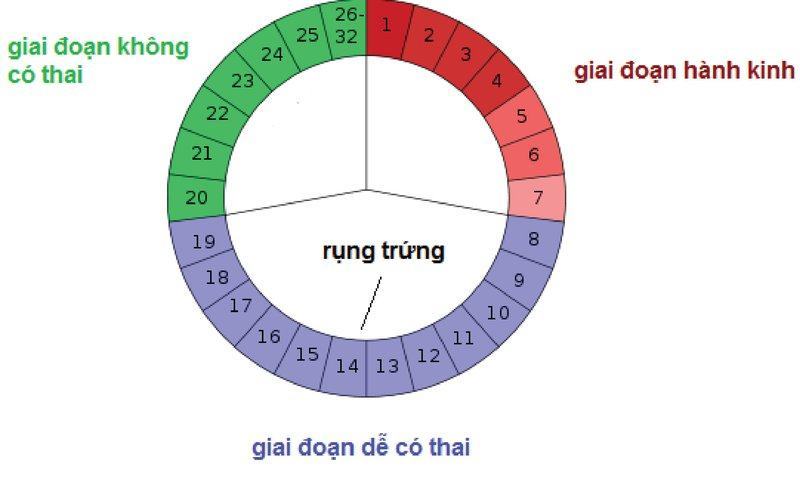 Thời điểm quan hệ dễ có thai nhất