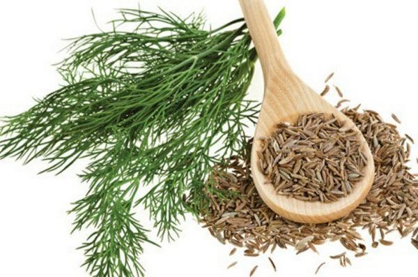 5 loại trà giúp giảm tình trạng tiêu chảy hiệu quả cho cả nhà 7