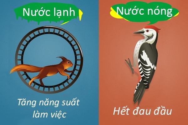Những lợi ích khác nhau của việc tắm nước lạnh và tắm nước nóng 46 Những lợi ích khác nhau của việc tắm nước lạnh và tắm nước nóng 18