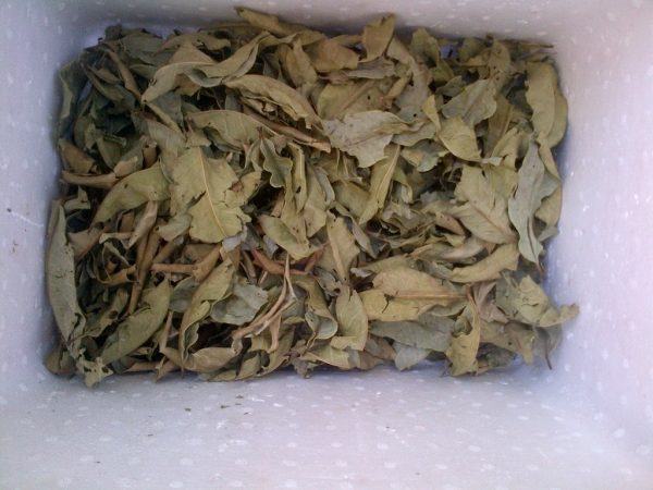 14 cách gọi sữa mẹ về nhiều cực đơn giản, sau sinh ai cũng nên tìm hiểu 37 14 cách gọi sữa mẹ về nhiều cực đơn giản, sau sinh ai cũng nên tìm hiểu 9