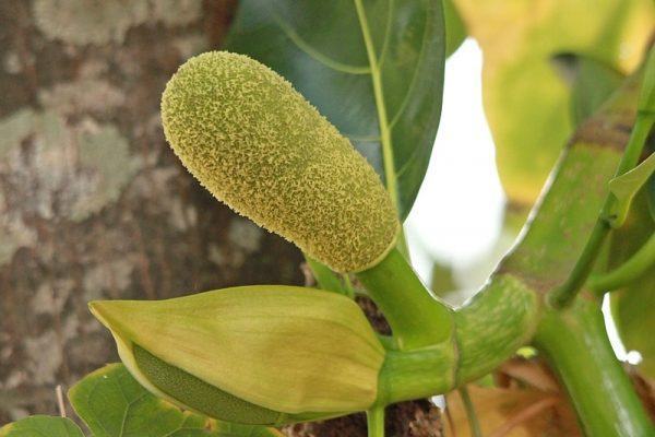 14 cách gọi sữa mẹ về nhiều cực đơn giản, sau sinh ai cũng nên tìm hiểu 39 14 cách gọi sữa mẹ về nhiều cực đơn giản, sau sinh ai cũng nên tìm hiểu 11