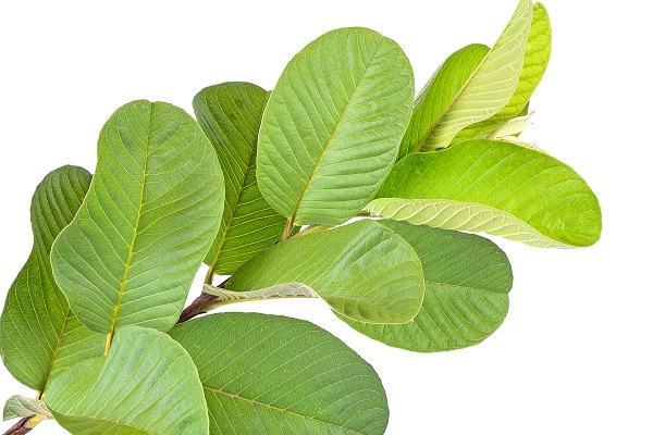 5 mẹo trị đau bụng cực hay ai cũng phải biết 6