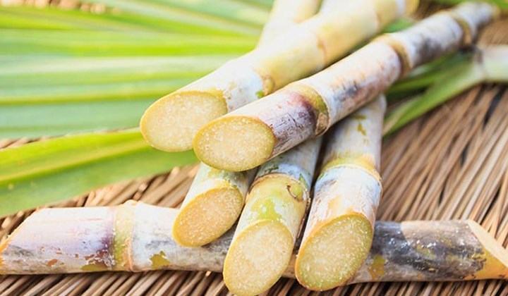 Cách hạ sốt cho trẻ đơn giản chỉ với các món cháo thơm ngon 37 Cách hạ sốt cho trẻ