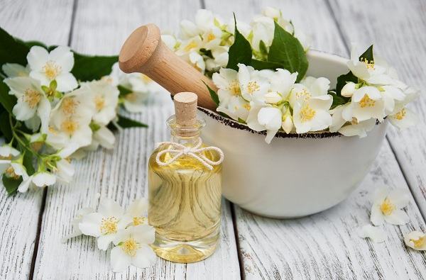 Lợi ích tuyệt vời của hoa nhài đối với sức khỏe con người 34 Lợi ích tuyệt vời của hoa nhài đối với sức khỏe con người 6