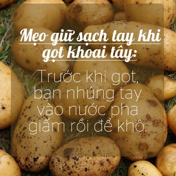 Những mẹo vặt hữu ích từ giấm ăn, mẹ đã biết chưa? 21 mẹo vặt từ giấm ăn
