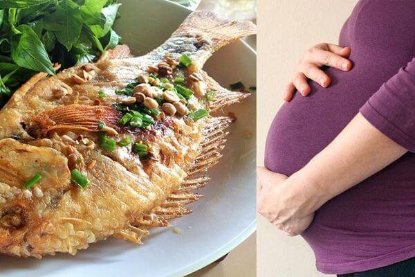 Ăn cá khi mang thai tốt cho sức khỏe cả mẹ lẫn con 7