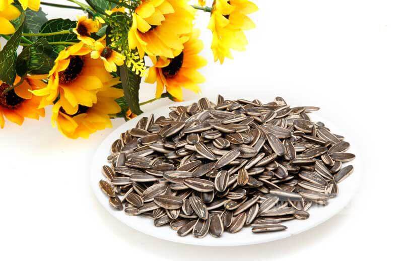 Các loại hạt khô ăn tết vừa ngon vừa tốt cho sức khỏe 40 các loại hạt khô ăn tết