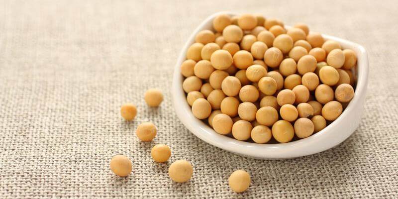 Các loại hạt khô ăn tết vừa ngon vừa tốt cho sức khỏe 41 các loại hạt khô ăn tết