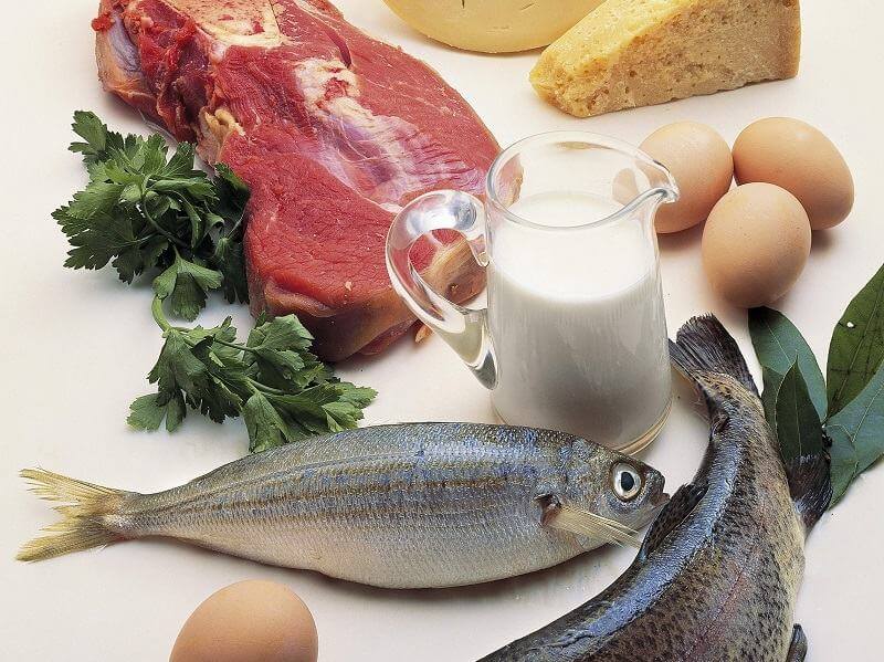 Tác dụng của vitamin B12 đối với khả năng sinh sản 34 Tác dụng của vitamin B12