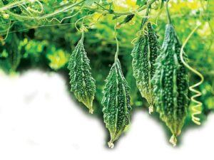 Cách phòng bệnh trĩ cho những người ngồi quá nhiều 35 Cách phòng bệnh trĩ cho những người ngồi quá nhiều 4