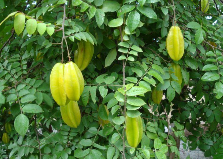 Mụn sữa ở trẻ sơ sinh và những điều mẹ nên biết 8