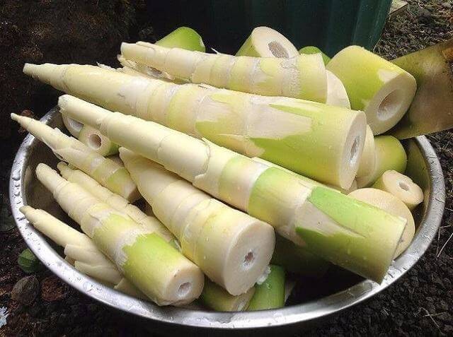 Bà bầu ăn măng được không? Có ảnh hưởng đến sức khỏe thai nhi hay không? 35 măng