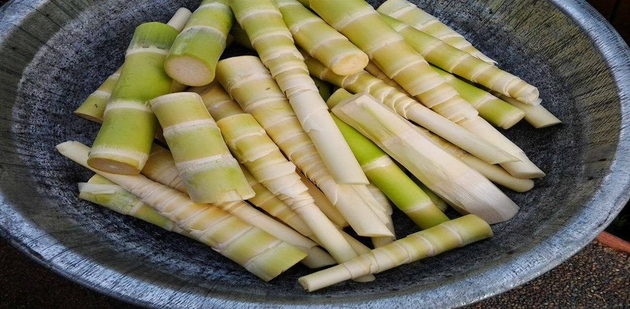 Bà bầu ăn măng được không? Có ảnh hưởng đến sức khỏe thai nhi hay không? 3