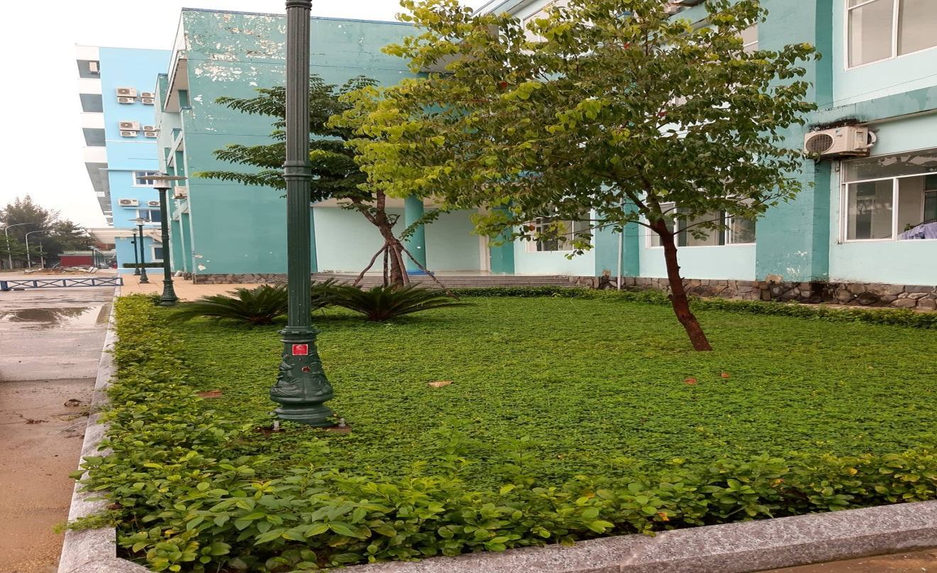 khuôn viên bệnh viện Nhi Quảng Nam