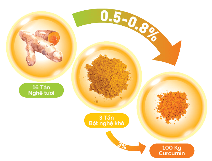 Curcumin có đặc tính kháng viêm và chống oxy hóa