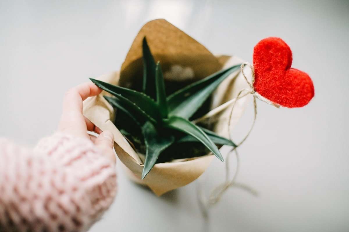 Dạy con kỹ năng sống: 10 kỹ năng ba mẹ cần dạy bé trước khi lên 10 35 kỹ năng sống