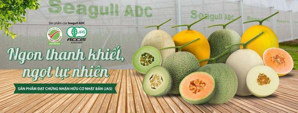 Chả giò cá basa dưa lưới lạ miệng cho những ngày nghỉ lễ 37 chả giò cá basa dưa lướ