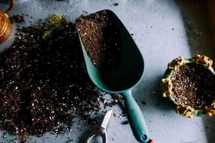 Làm việc tại nhà như thế nào để không tăng cân? 37 làm việc tại nhà