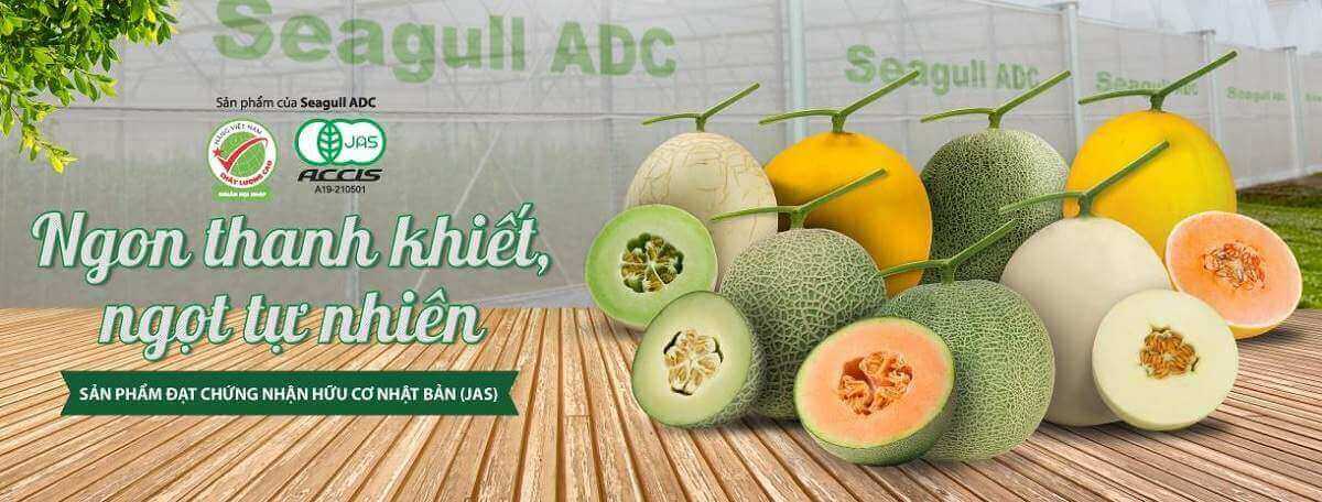 Thử làm bánh Taco dưa lưới hấp dẫn lạ miệng 41 Thử làm bánh Taco dưa lưới hấp dẫn lạ miệng 13