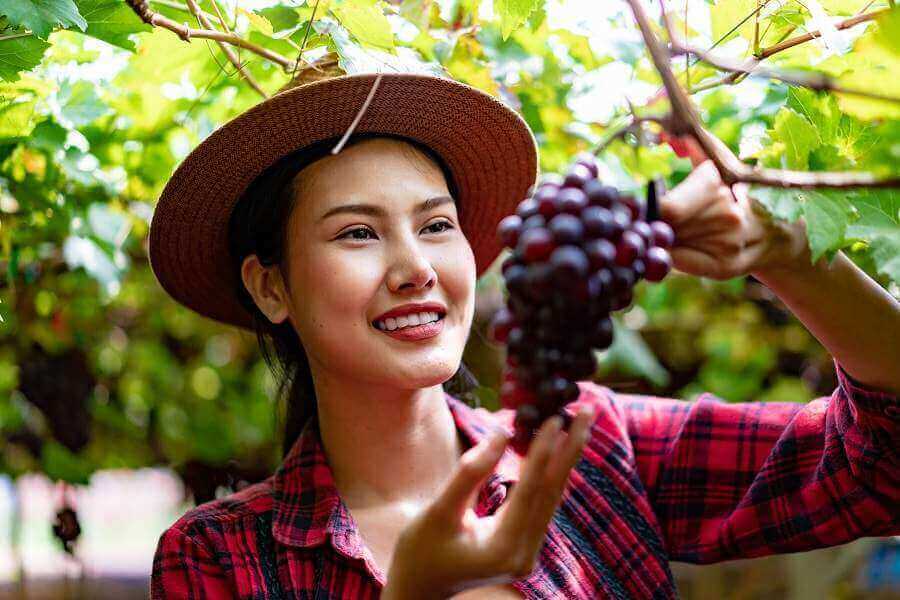 4 'bí mật' thú vị về tiêu chuẩn JAS, mẹ nào cũng nên biết 36 tiêu chuẩn JAS